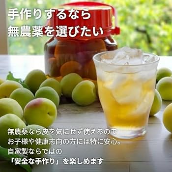 そら様　樹成り中熟~完熟　甲州小梅　10kg 　下旬頃から順次発送　青梅終了 Amazon | Irodoriya 南高梅 樹熟梅 (きじゅくうめ) 1kg 和歌山産